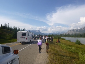 This is what is locally referred to as an "elk jam", where masses of tourists pull off to the side of the road to look at wildlife which makes the locals laugh and the truckers pissed