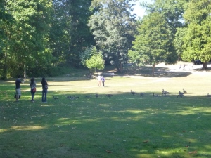 These people are taking pictures of Canada Geese. Lol.